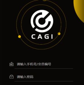 CAGI区块链投资理财系统虚拟资产源码